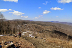 08.03.2015. - Šaševo [Davor Matas]