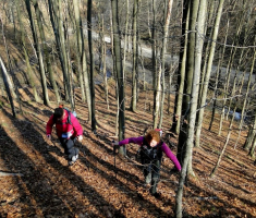 sasevo_davor_matas_001