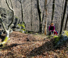 sasevo_davor_matas_003