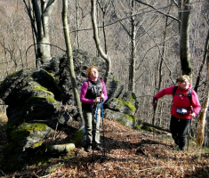 sasevo_davor_matas_004