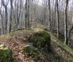 sasevo_davor_matas_005