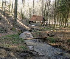 sasevo_davor_matas_006