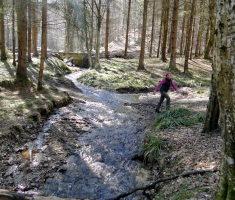 sasevo_davor_matas_007