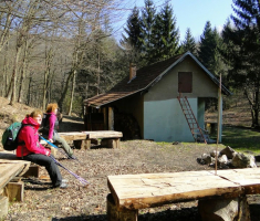 sasevo_davor_matas_011