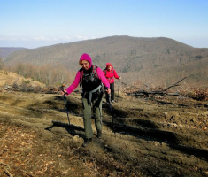 sasevo_davor_matas_018