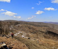 sasevo_davor_matas_020