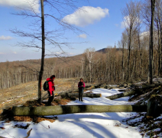 sasevo_davor_matas_022