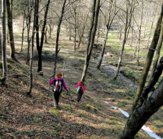 sasevo_davor_matas_025