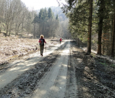 sasevo_davor_matas_026