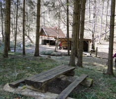 sasevo_davor_matas_027