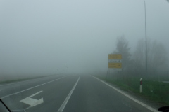 08.04.2018. - Džambo(laja)