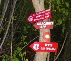 20151008_valentin_zagar_005