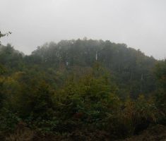 20151008_valentin_zagar_022