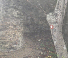 20151008_valentin_zagar_026