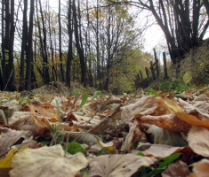 20151108_stjenjaci_krndije_005