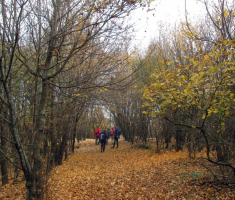 20151108_stjenjaci_krndije_006