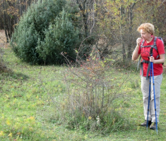 20151108_stjenjaci_krndije_008
