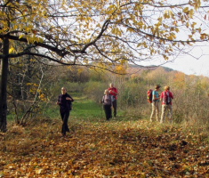 20151108_stjenjaci_krndije_009