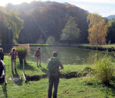 20151108_stjenjaci_krndije_011
