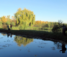 20151108_stjenjaci_krndije_017