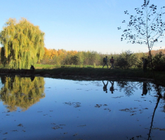 20151108_stjenjaci_krndije_018