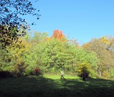 20151108_stjenjaci_krndije_025