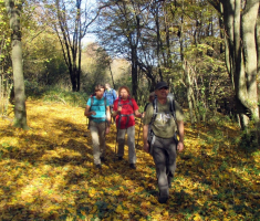 20151108_stjenjaci_krndije_029