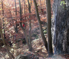 20151108_stjenjaci_krndije_033