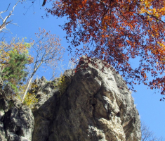 20151108_stjenjaci_krndije_034