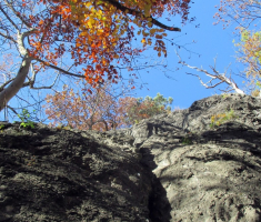 20151108_stjenjaci_krndije_035
