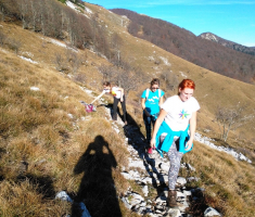 20151108_ena_plantak_004