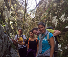 20151108_ena_plantak_011