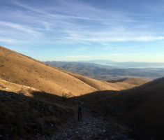 20151108_ena_plantak_016
