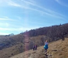 20151108_ena_plantak_021