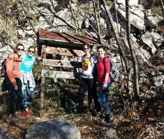 20151108_ena_plantak_037