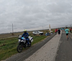 20251108_baranjski_ferivi_polumaraton_049