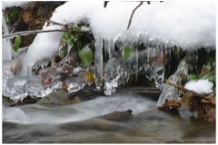 08.12.2013. - Papuk, Međunarodni dan planina