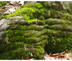 planinarimo_papuk20140209_010