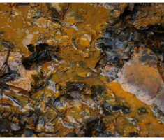 planinarimo_papuk20140209_020