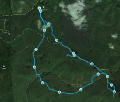 ruta
