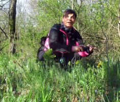 20170409_mecsek_014