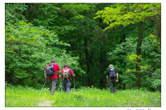 09.05.2010. Papuk