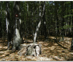papuk20120909_00006