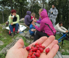 20161009_papuk_022