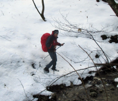 20160110_papuk_041