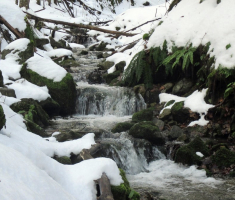 20160110_papuk_042