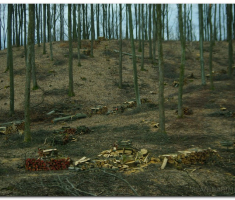 krdnija_20130310_00002