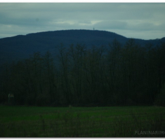 krdnija_20130310_00003