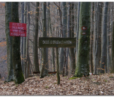 krdnija_20130310_00028