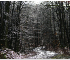 krdnija_20130310_00034